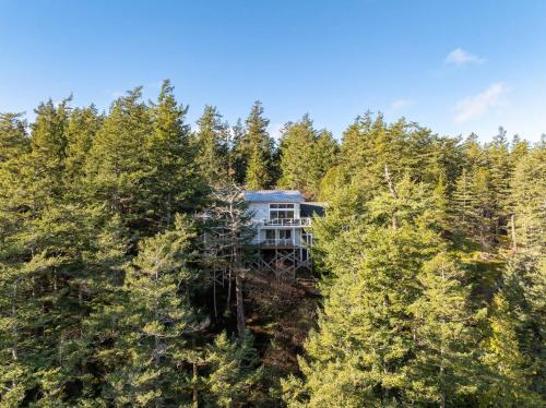 an aerial view of a house in the woods at Luxury Waterfront & Views, Private Beach, Golfing in Eastsound
