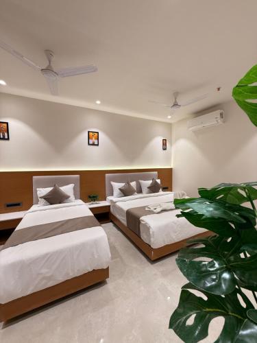 a bedroom with two beds and a plant at Hotel vimlayatan in Ujjain