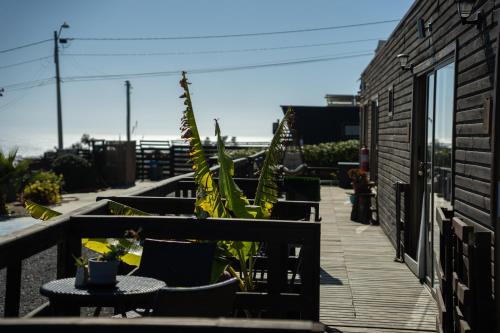 a deck with chairs and plants on a building at Viento Sur Pichilemu Lodges in Pichilemu