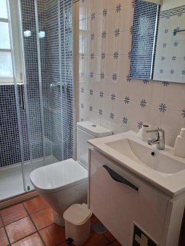 a bathroom with a toilet and a sink and a shower at Cottage - Vitorino dos Piães in Vitorino dos Piães