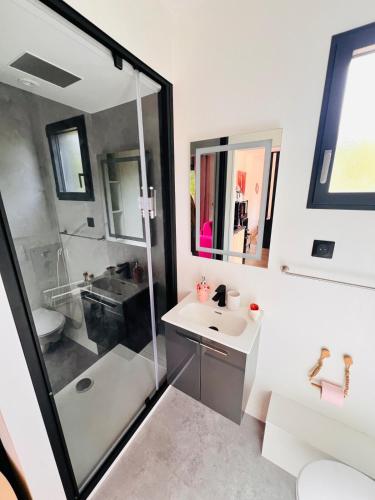 a bathroom with a shower and a sink at La Fleur au cœur de la nature in Rosselange