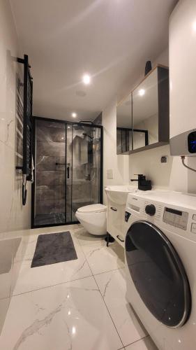 a bathroom with a toilet and a sink and a shower at Apartament w Lubomierzu in Lubomierz