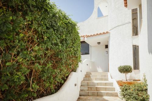 The Hidden Muse 3BD Free Parking