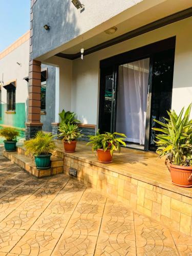 a group of potted plants sitting on a patio at JK COZY HOMES ug in Kampala