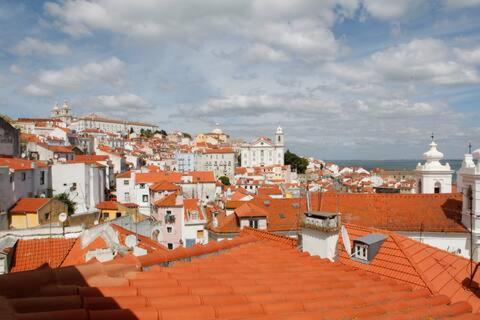 a view of a city with buildings and roofs at Alfama Tejo river and sight in Lisbon