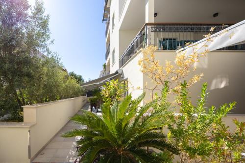 a courtyard of a building with a plant at Hotel - Teranea City Hvar in Hvar