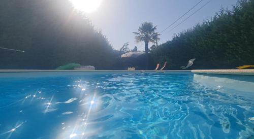 a swimming pool with blue water and a palm tree at Vivenda Do Relaxo '' Relax Villa " in Freiria