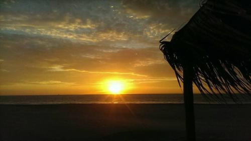 a sunset on the beach with a palm tree at Beach Rooms Chincha Eco Albergue in Chincha