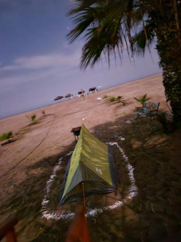 a green kite on a sandy beach near the ocean at Beach Rooms Chincha Eco Albergue in Chincha