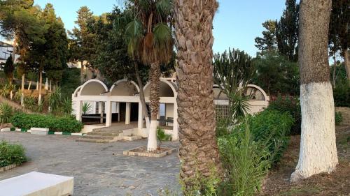 米迪克Dreamy ocean getaway! Renovated bungalow的一座白色的房子，前面有棕榈树