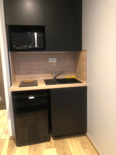une cuisine avec un évier et un micro-ondes dans l'établissement Mini Studio avec Terrasse, à Aurillac