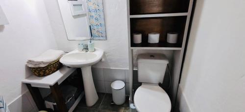 a small bathroom with a toilet and a sink at Mi Rancho La Paloma in La Aguada