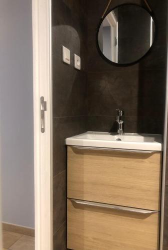 une salle de bain avec un lavabo et un miroir dans l'établissement Mini Studio avec Terrasse, à Aurillac