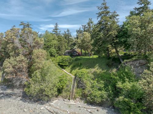 a set of stairs leading up a hill with trees at Luxe Beachfront, Hot Tub, Kayaking, Walk To Town in Eastsound