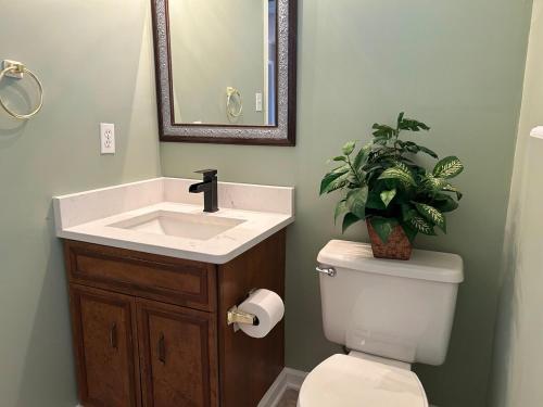 a bathroom with a sink and a toilet with a plant at Cozy 3BR Home Peaceful Vibes Centrally Located in Martinez