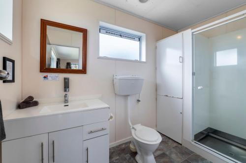 a bathroom with a toilet and a sink and a mirror at Belt Road Seaside Holiday Park in New Plymouth