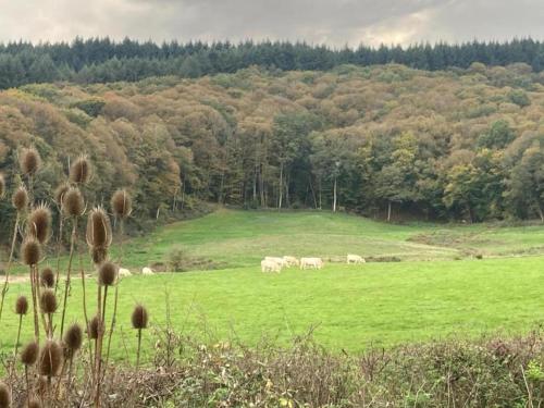 a herd of animals grazing in a green field at Apartment in Cuzy with Heated Pool in Cuzy