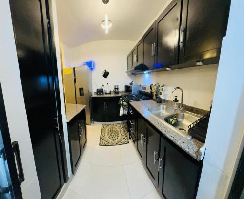 a small kitchen with black cabinets and a sink at Luxurious and comfortable 1 level in Juan López