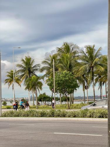 a group of palm trees on the side of a road at Apê com vista para o mar e clima animado in Vitória