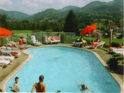 un groupe de personnes assises autour d'une piscine dans l'établissement Apartment in France near Scenic Trails, à Le Ménil