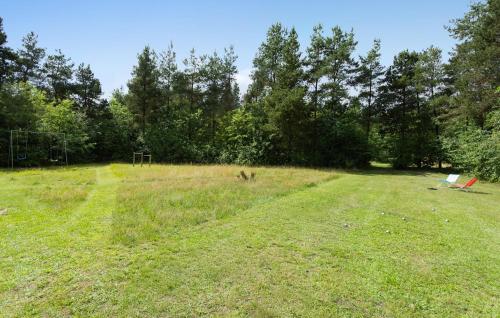 a field with two chairs and a dog in the grass at Nice Home In Højslev With Kitchen in Højslev