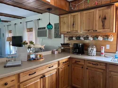 a kitchen with wooden cabinets and a counter top at Port Clinton Lakeside Escape in Port Clinton