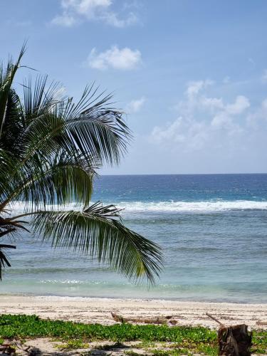 Billede fra billedgalleriet på Ocean Beach Bach Rarotonga i Rarotonga