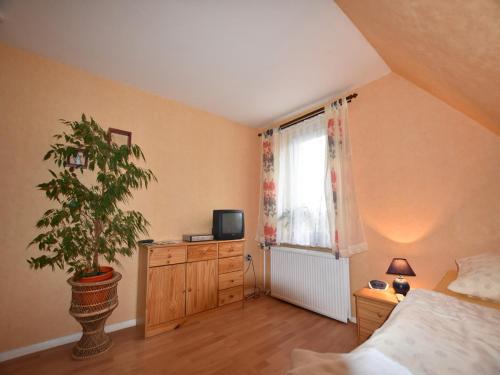 ein Schlafzimmer mit einer Topfpflanze und einem TV in der Unterkunft Ferienzimmer in Kröpelin in Brusow