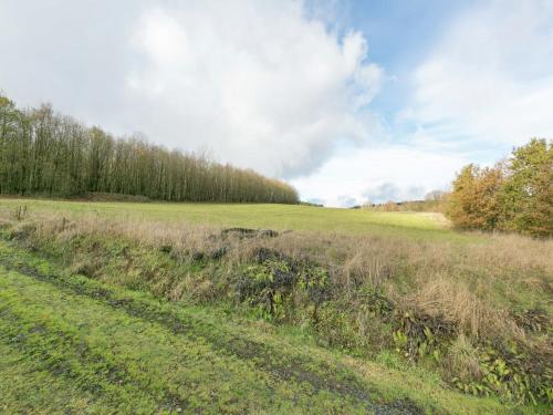 a field of grass with trees in the background at Ferienhaus in Liebenscheid nahe Fuchskaute in Liebenscheid