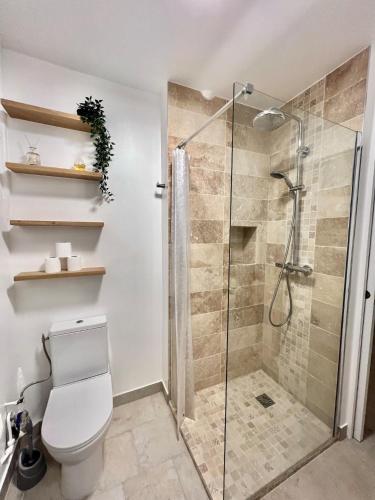 une salle de bain avec toilettes et douche en verre dans l'établissement Fully Renovated Apartment In Montmartre, à Paris