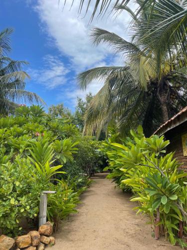 a dirt path through a garden with palm trees at Monsoon Eco Resort - Whisky point Arugambay in Pottuvil