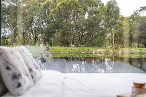 a couch with a view of a lake and trees at Banksia -designer Tiny Home W Stunning Dam Views in Kangaroo Valley