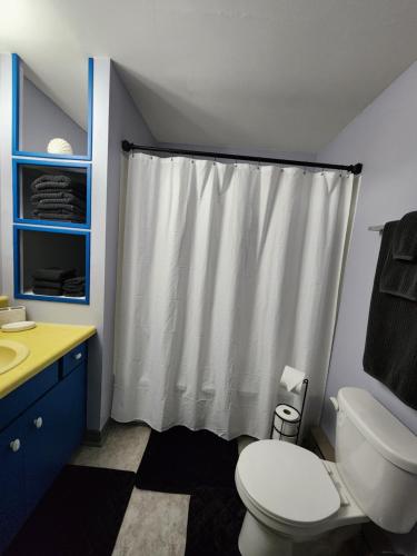 a bathroom with a toilet and a shower curtain at Two bedroom apartment in Torbay in Torbay