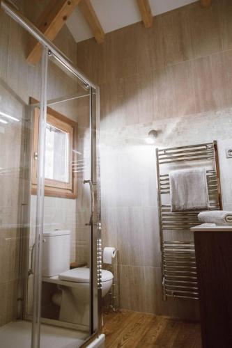 une salle de bain avec toilettes et douche en verre dans l'établissement Chalet Dranse Skivtt - Mountain Voyages, à Saint-Jean-dʼAulps