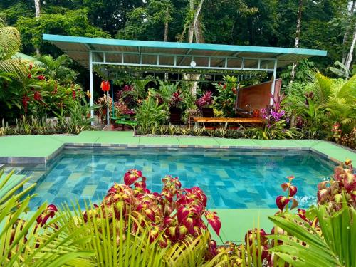 Kolam renang di atau dekat dengan Cabin in the wood