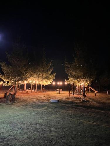 a park lit up at night with trees and a bench at Cabañitas Zelada in Algarrobo