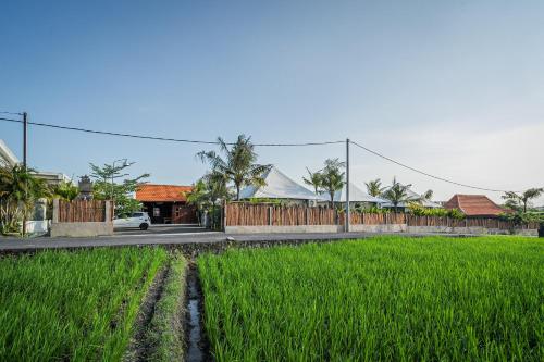 a field of grass with a fence and a building at Paddy's Glamping Managed by Manara in Canggu