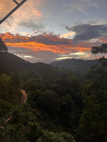 a road in the middle of a forest at sunset at Tunnel Top Inn Ella in Ella