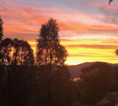 a sunset with trees in front of a sunset at Sunset Cove in Piries