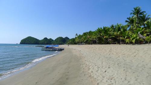 a sandy beach with palm trees and boats on it at BLU MA RE GUESTHOUSE - Sugar Beach in Sipalay