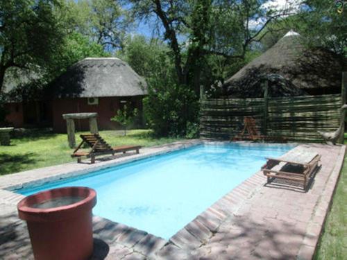 a large swimming pool with a thatched building at Jump Street Chalets in Maun