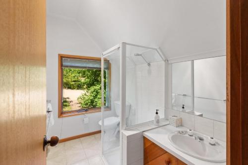 a bathroom with a sink and a toilet and a window at Delatite Lodge in Merrijig