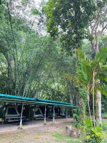 En have udenfor Khaosok Mysterious Restaurant and Camp ร้านลึกลับริมคลอง
