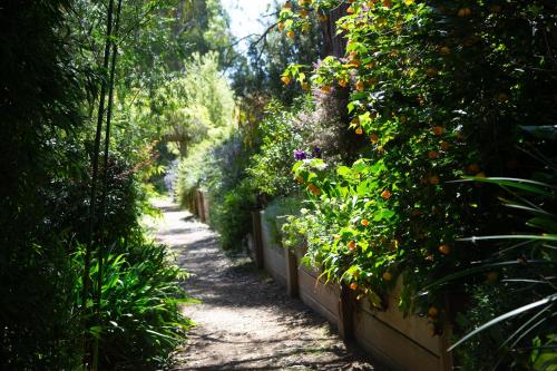 Ein Garten an der Unterkunft Riverview Hill - Jamieson