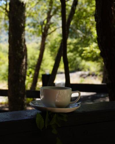 a cup of coffee sitting on a table in the woods at Cabaña Sol Nevado, Las Trancas in Las Trancas