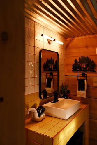 NogalにあるCrows Nest Treehouse At El Mstico Ranchの洗面台と鏡のあるバスルーム