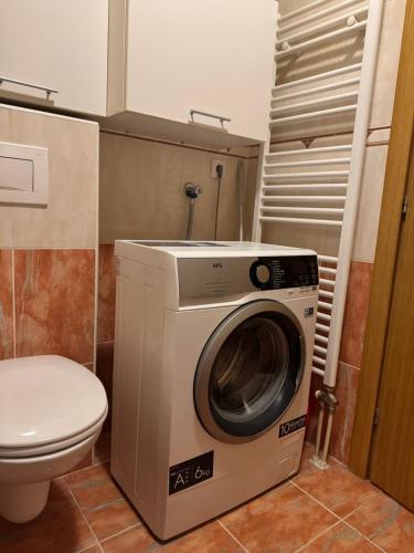 a washing machine in a bathroom with a toilet at Bap-Belt apartment in Bačka Palanka