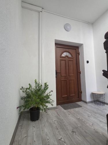 Фотография из галереи Apartments Angels o k b в городе Альтенбург