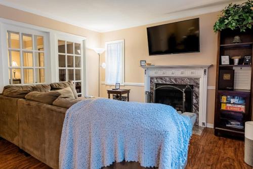 a living room with a couch and a fireplace at Villa Signor in Norwich