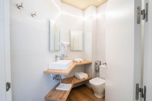 a bathroom with a sink and a toilet at Irun Rooms SL in Irún